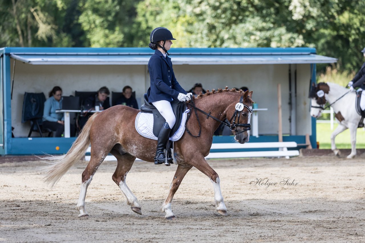 Bild 338 - Pony Akademie Turnier